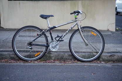 Giant Rincon Vintage MTB (XS/S)