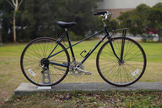 Dawes Galaxy Mixte Steel Tourer (M)