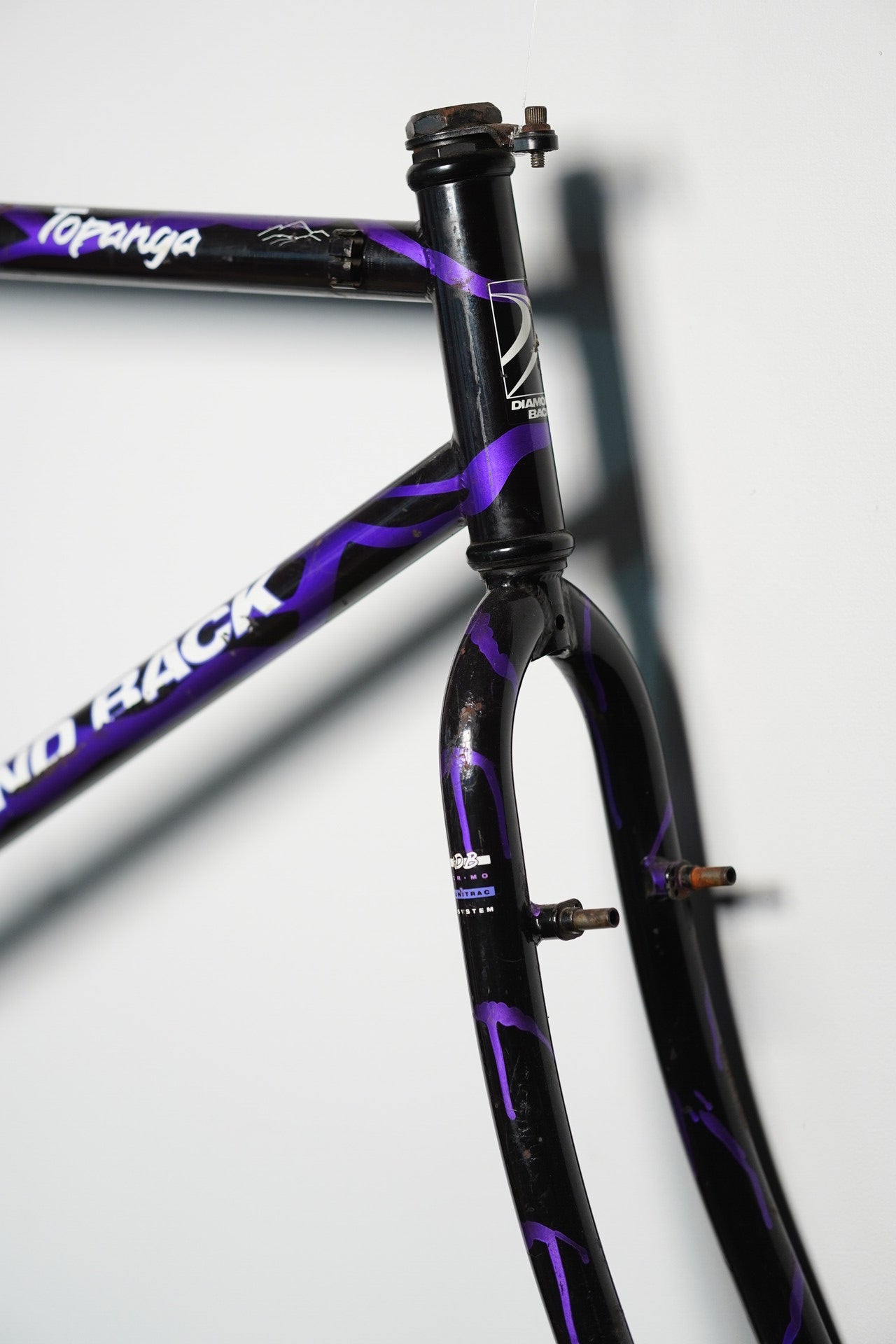 Diamondback Topanga Vintage MTB