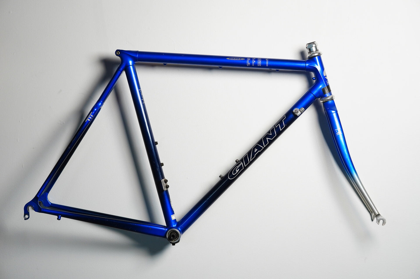 Giant CFR-1 Vintage Carbon Frame