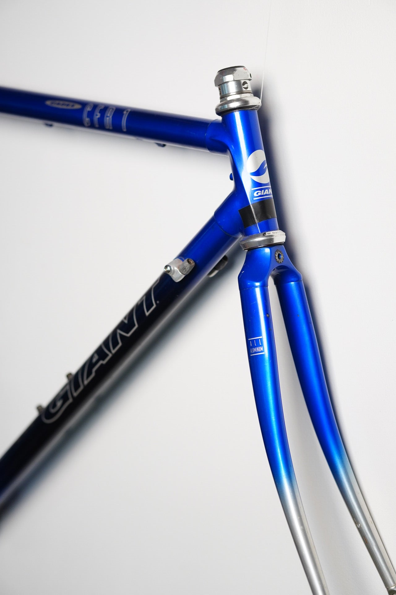 Giant CFR-1 Vintage Carbon Frame